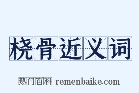 桡骨近义词是什么意思的图片